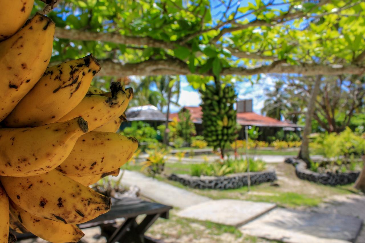 Savai'i Island Vaimoana Seaside Lodge المظهر الخارجي الصورة