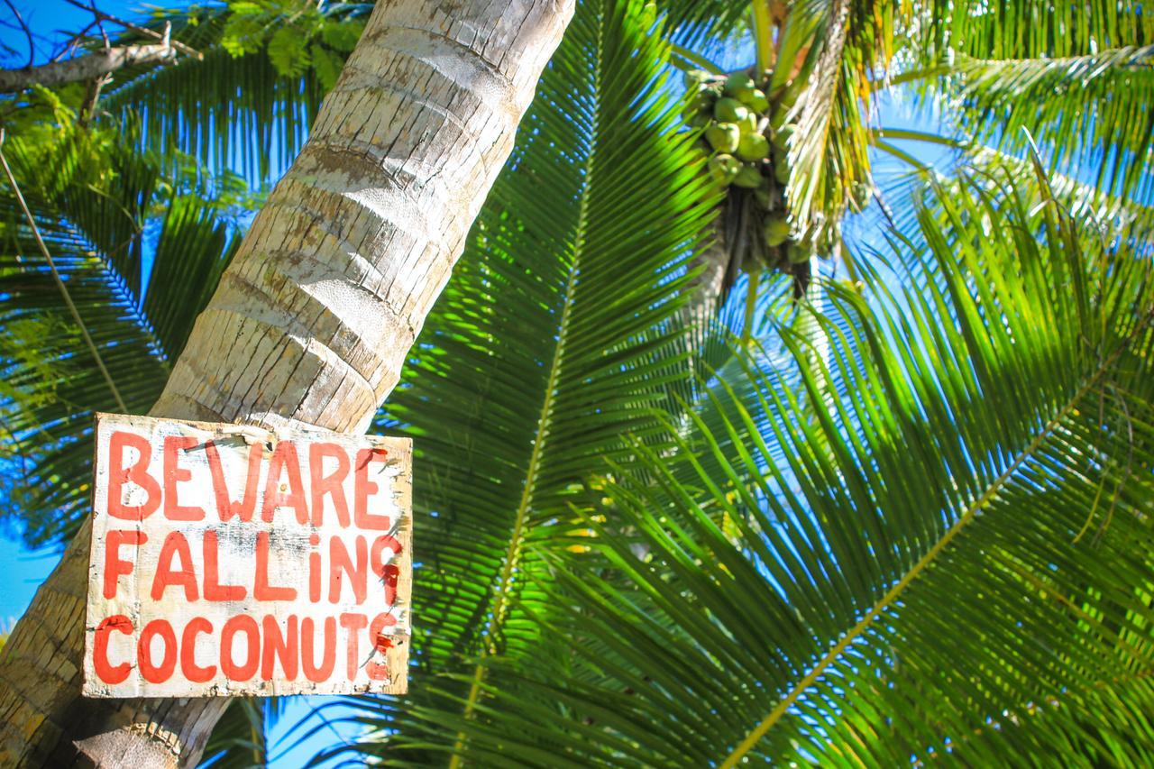 Savai'i Island Vaimoana Seaside Lodge المظهر الخارجي الصورة